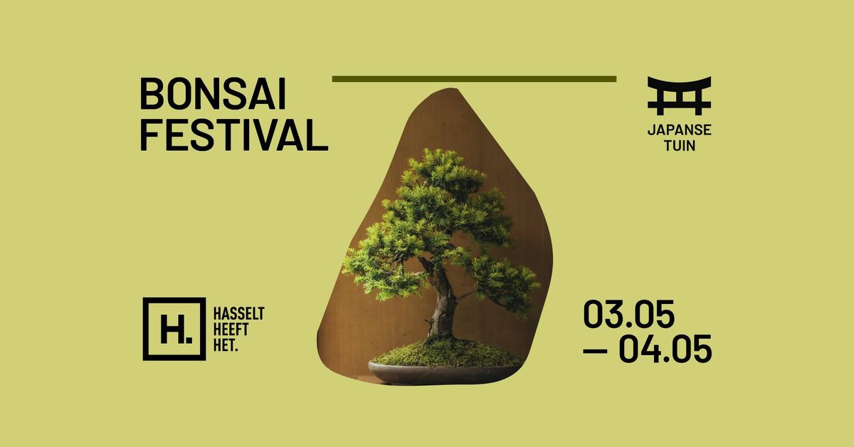 Bonsai Festival