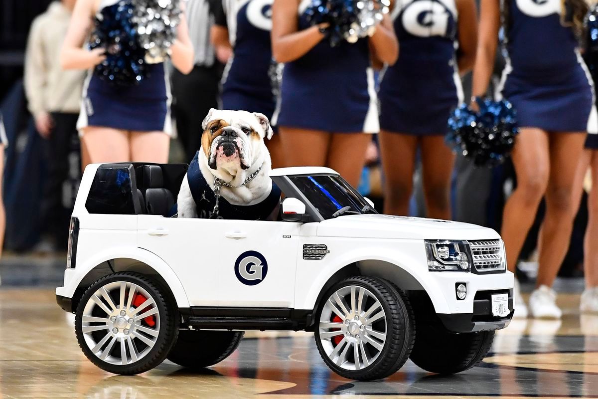 Georgetown Hoyas at Marquette Golden Eagles Womens Volleyball at Al McGuire Center