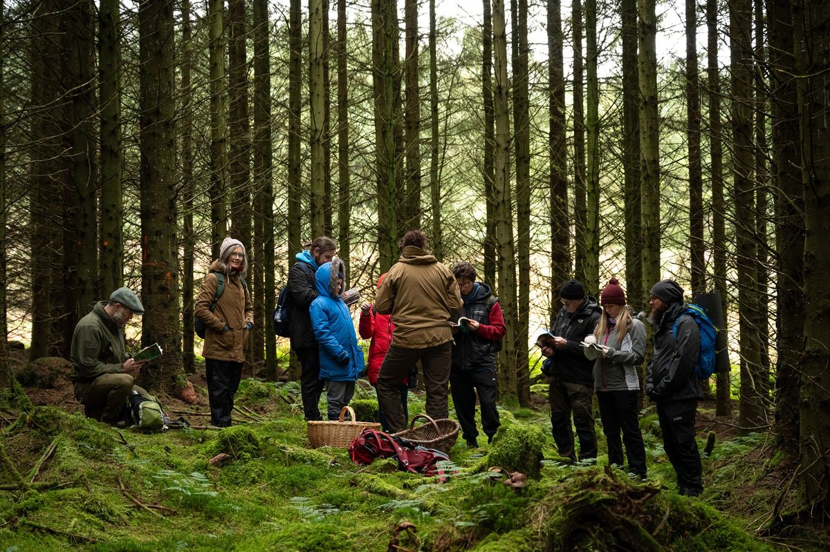 Mushroom Identification Course