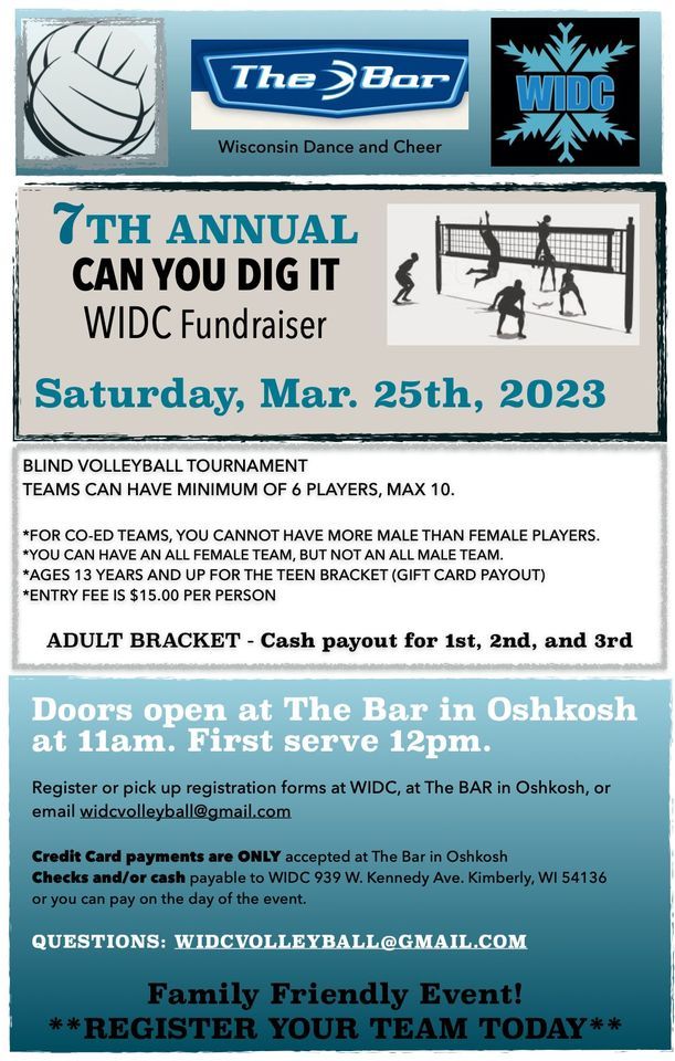 7th Annual Can you Dig It Volleyball Tournament Fundraiser, The Bar