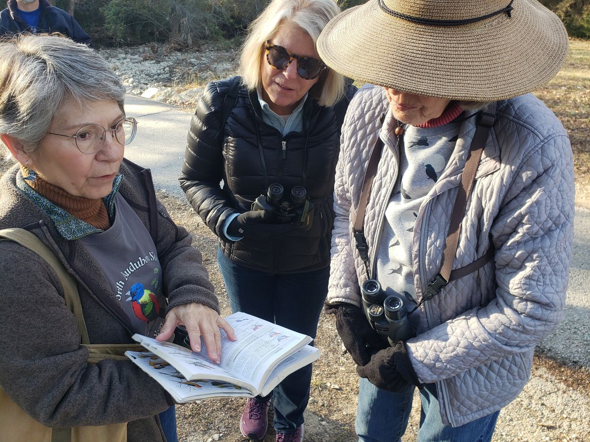 Birding at Foster Park, Fort Worth, TX