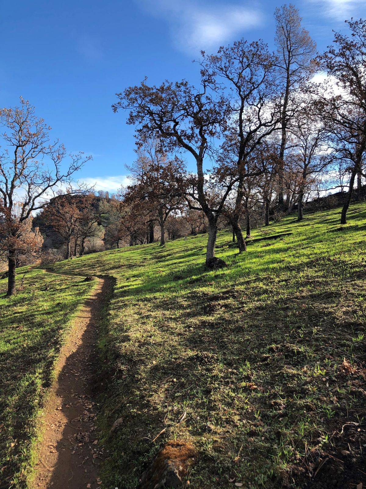 Fleet Feet Chico Spring Trail 5k\/10k Training - Kickoff 