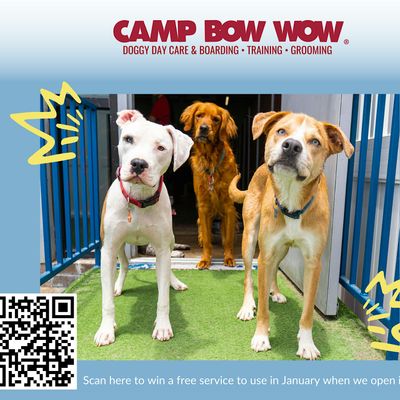 Camp Bow Wow San Ramon