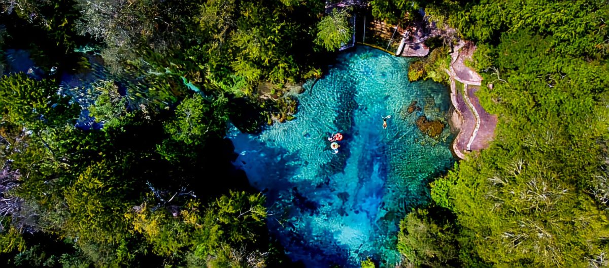 NF Paddle Weekend - Santa Fe River & Itchnetuknee Springs 