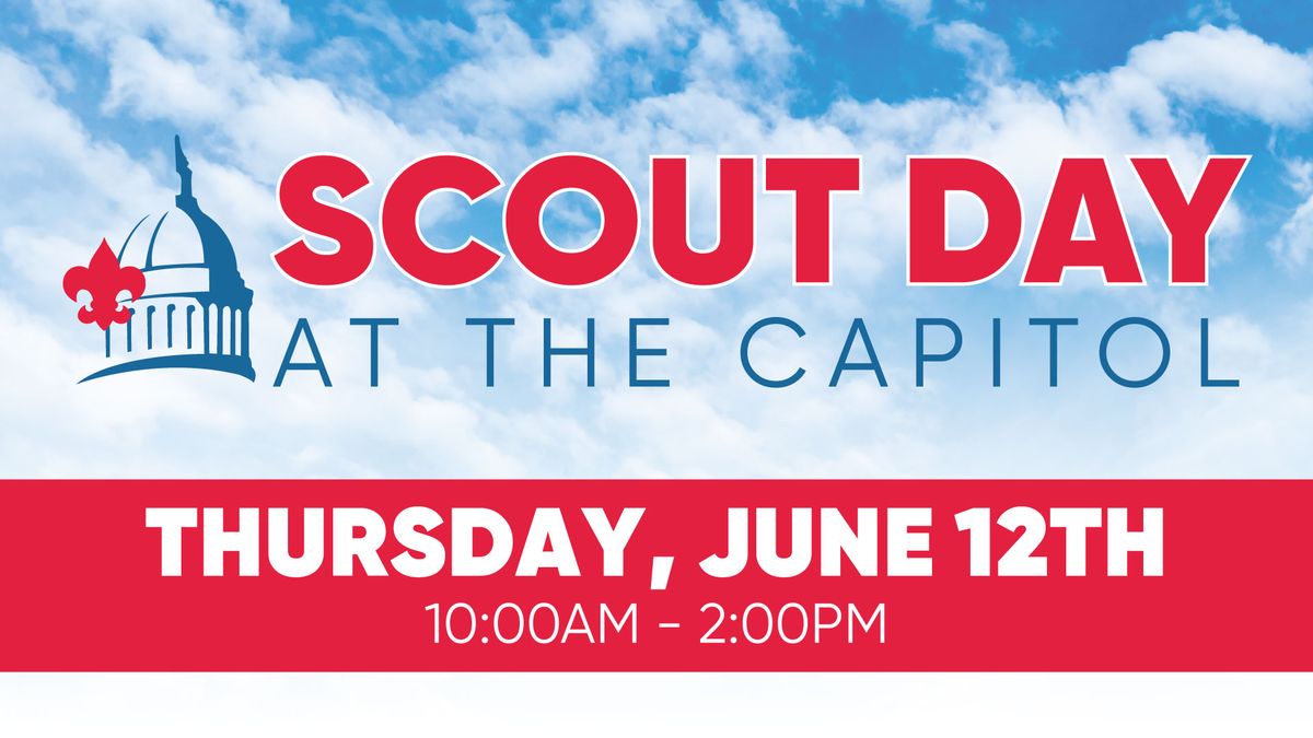 Scout Day at the Capitol