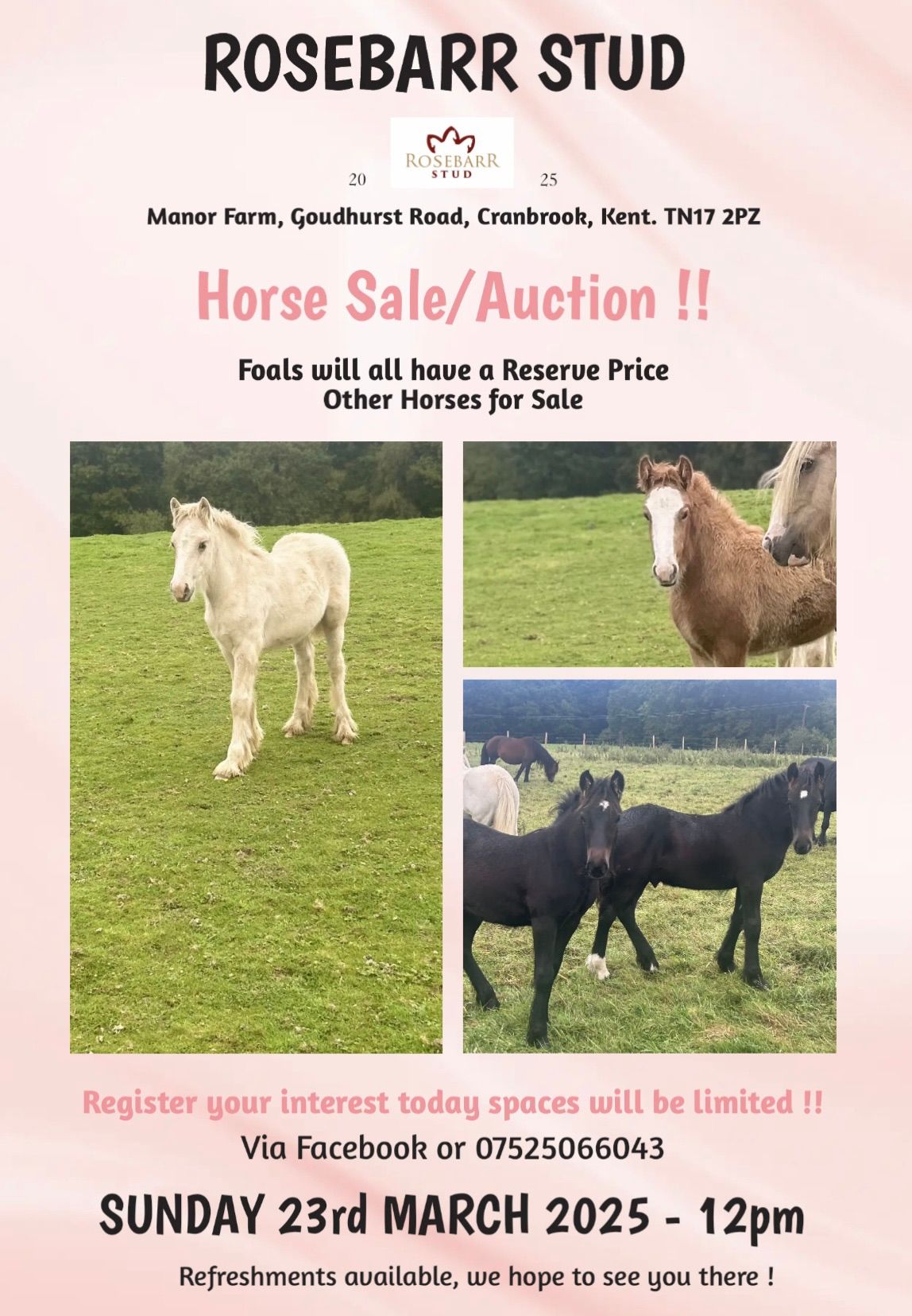 Rosebarr Stud Horse Sale !!