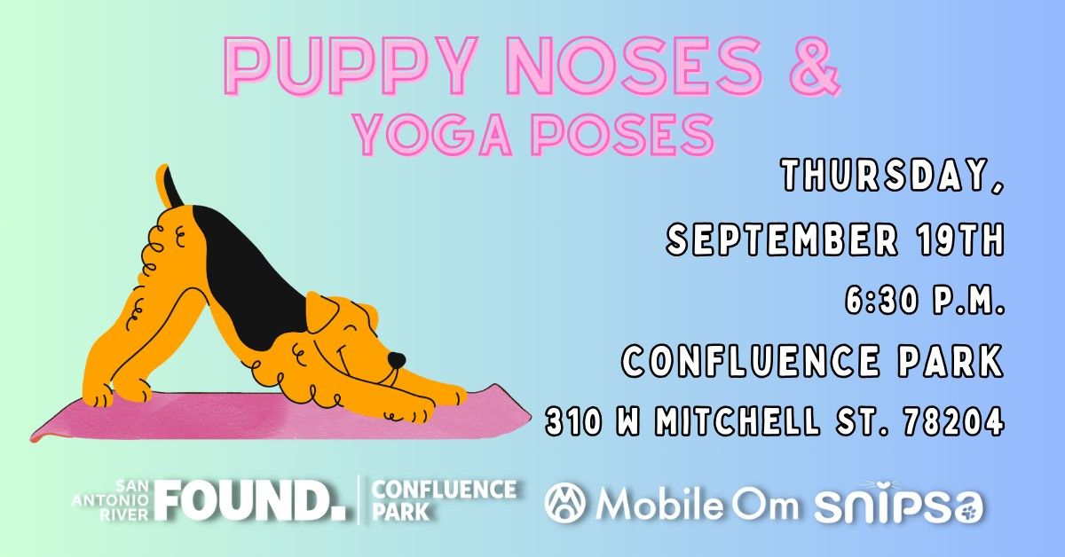 Puppy Noses & Yoga Poses