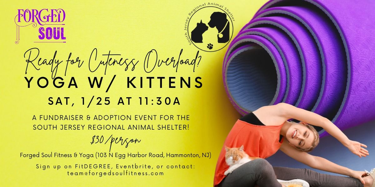 Kitten Yoga Fundraiser w\/ South Jersey Regional Animal Shelter!