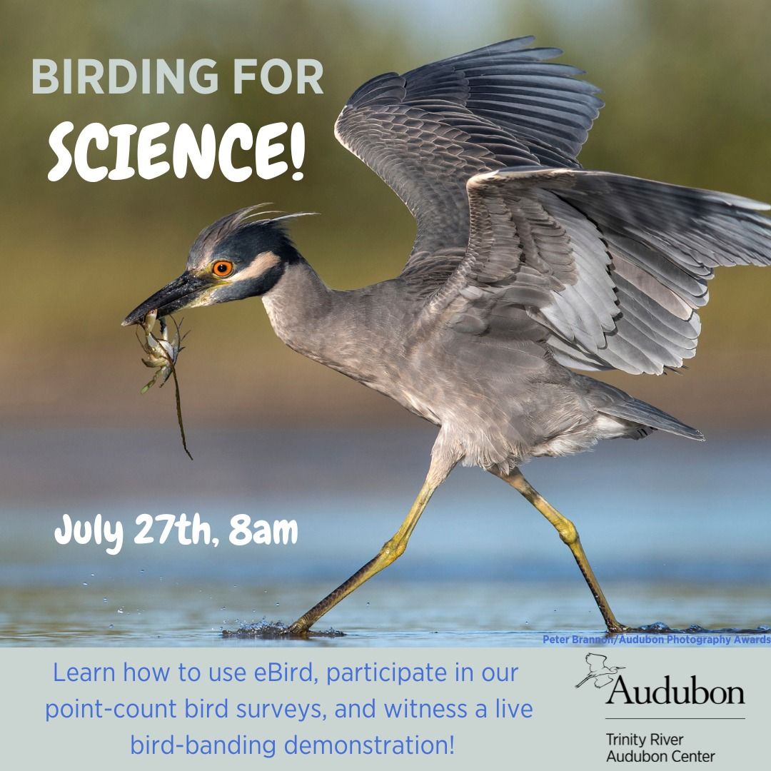 Birding for Science!