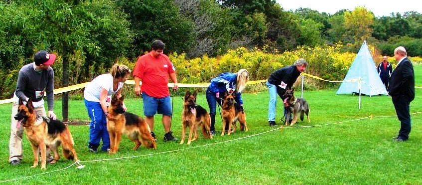 Midwest Regional Conformation Show & Breed Survey