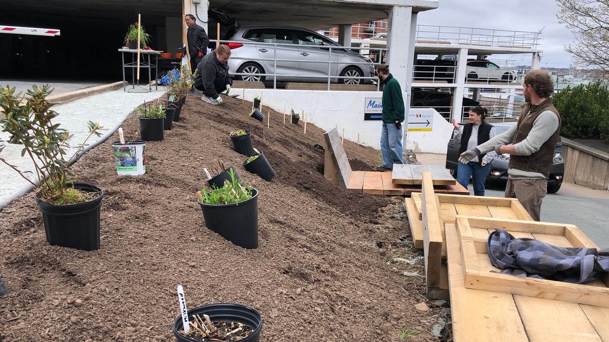 Pollinator Garden Planting and  Project Celebration 