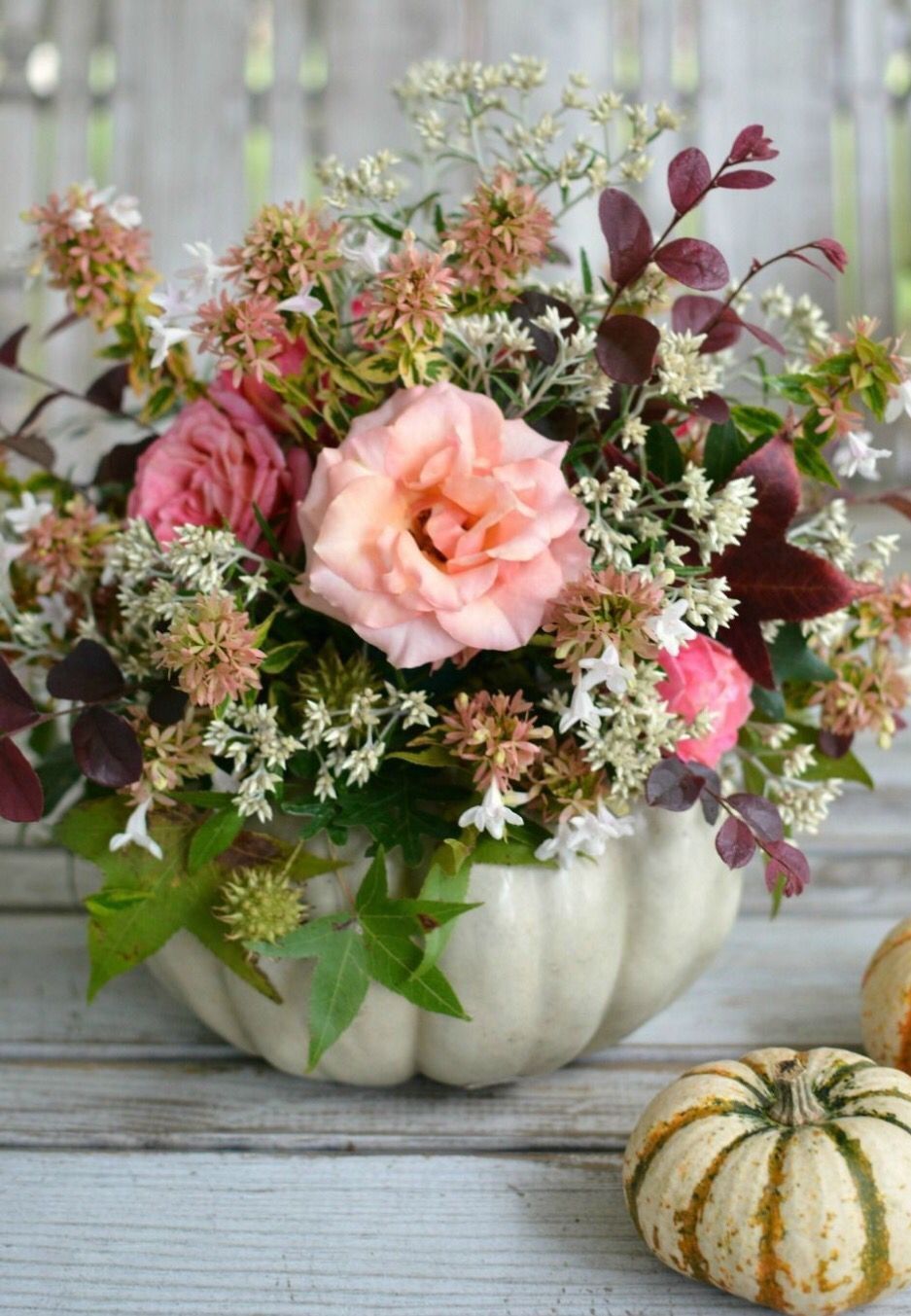 Pumpkin Floral Workshop with Catherine of Twigs & Posies - Sept 23rd 2pm