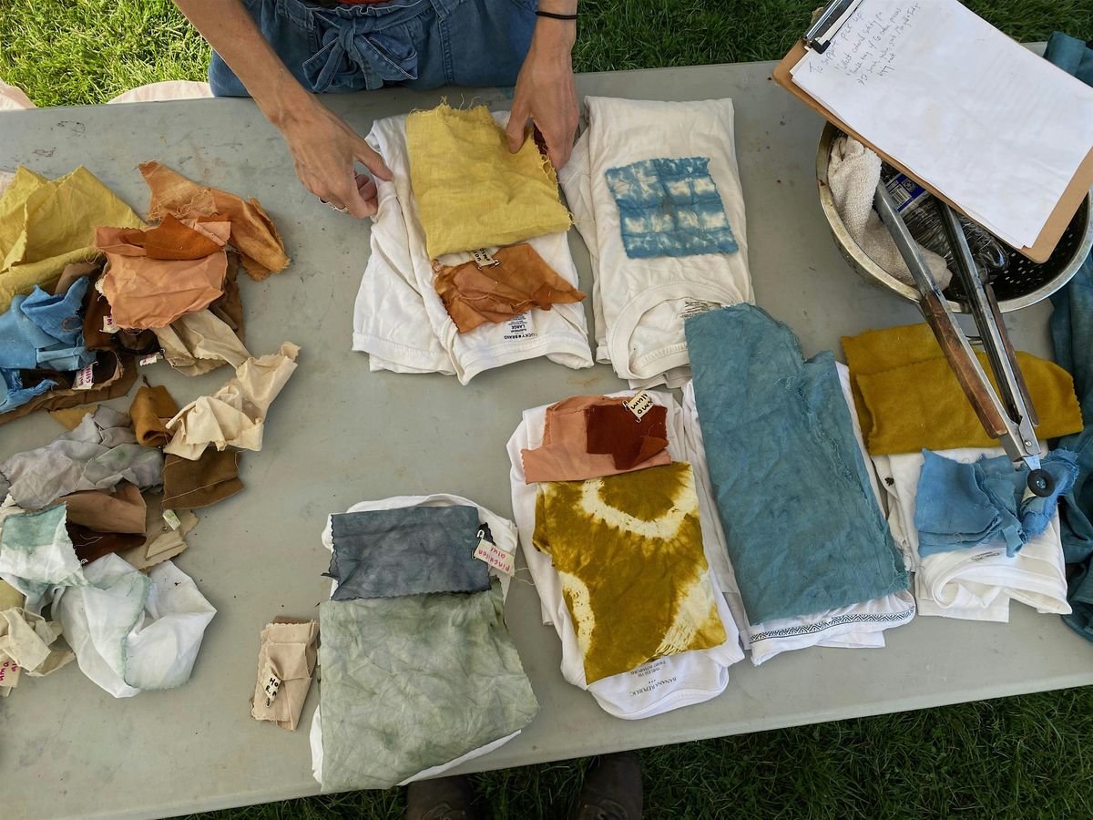 Plant based dyes: intro