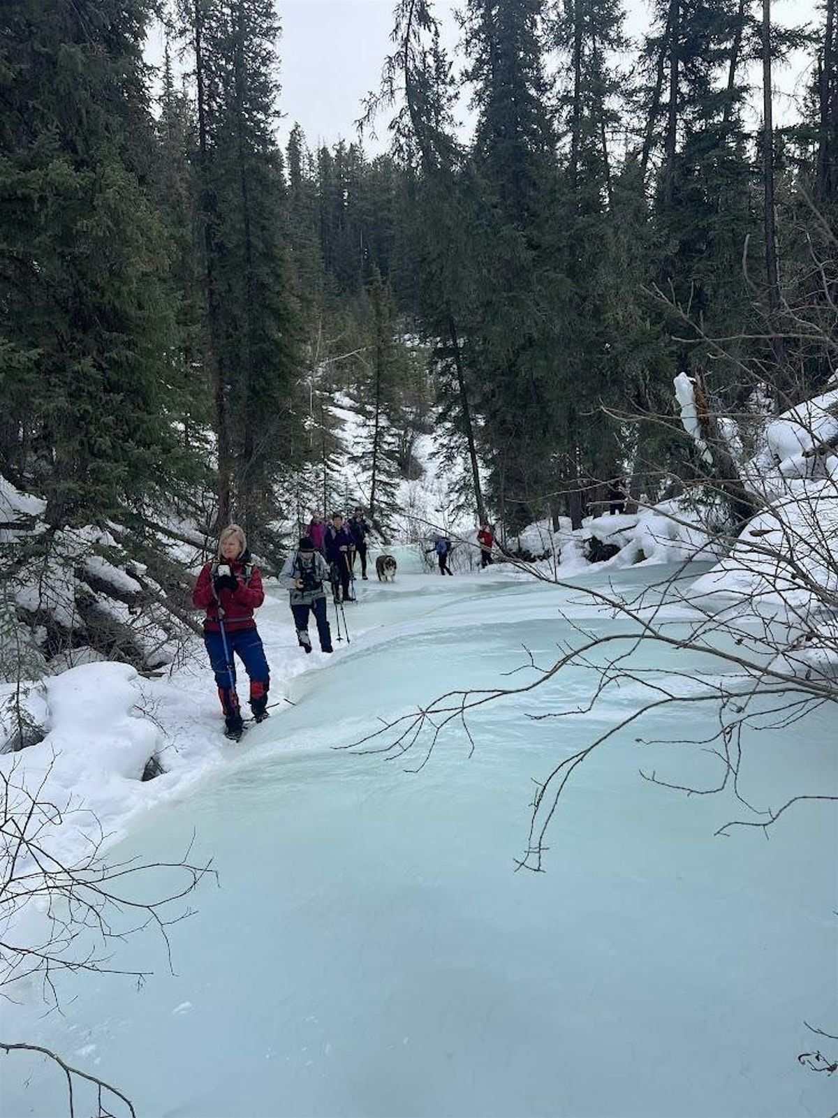 Frozen waterfalls at Wapiti  & Crescent falls- 2BS (Nordegg area)