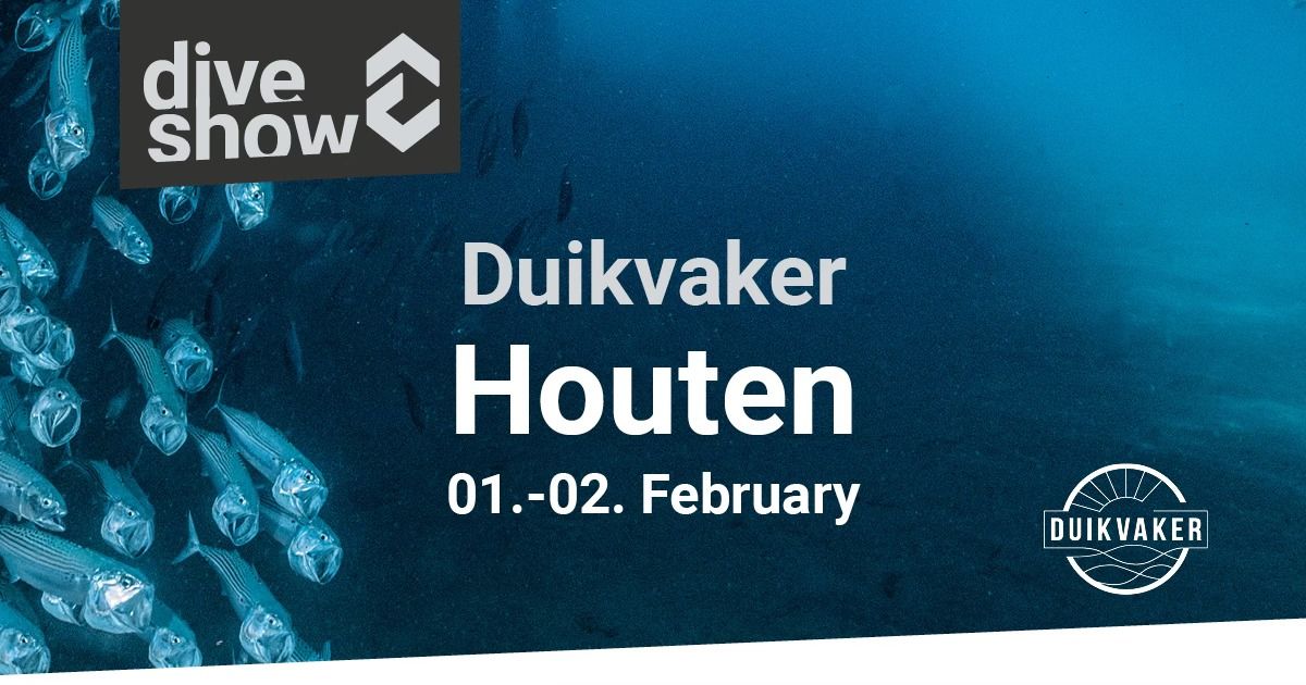 Duikvaker Houten