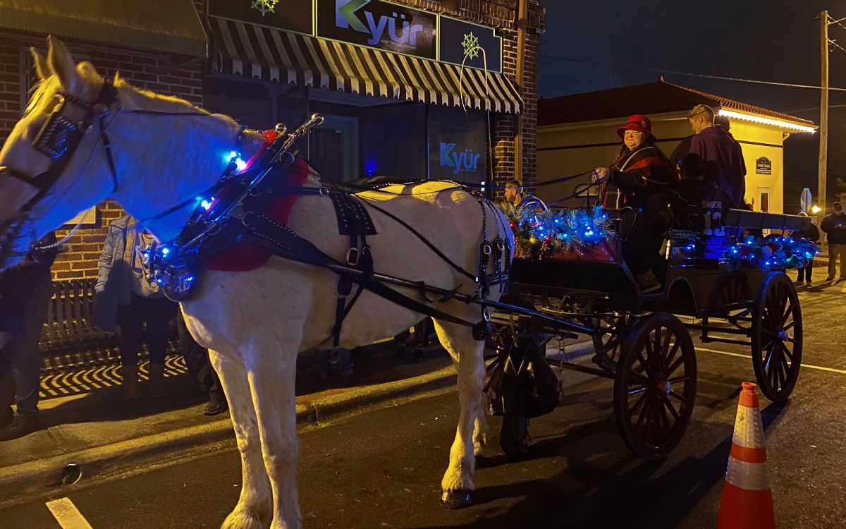 Downtown Mocksville Horse & Buggy Rides