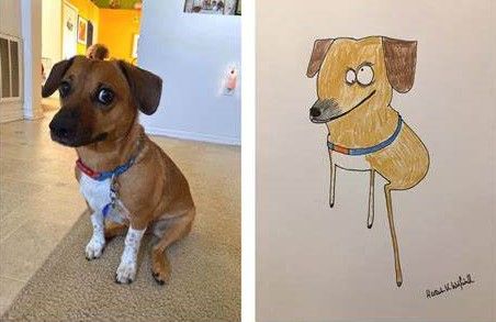 DRAW & SIP - Rubbish Pet Portraits!