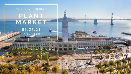 Plant Market at San Francisco Ferry Building