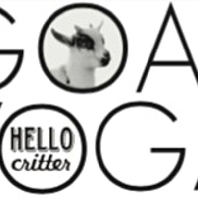 Hello Critter Yoga