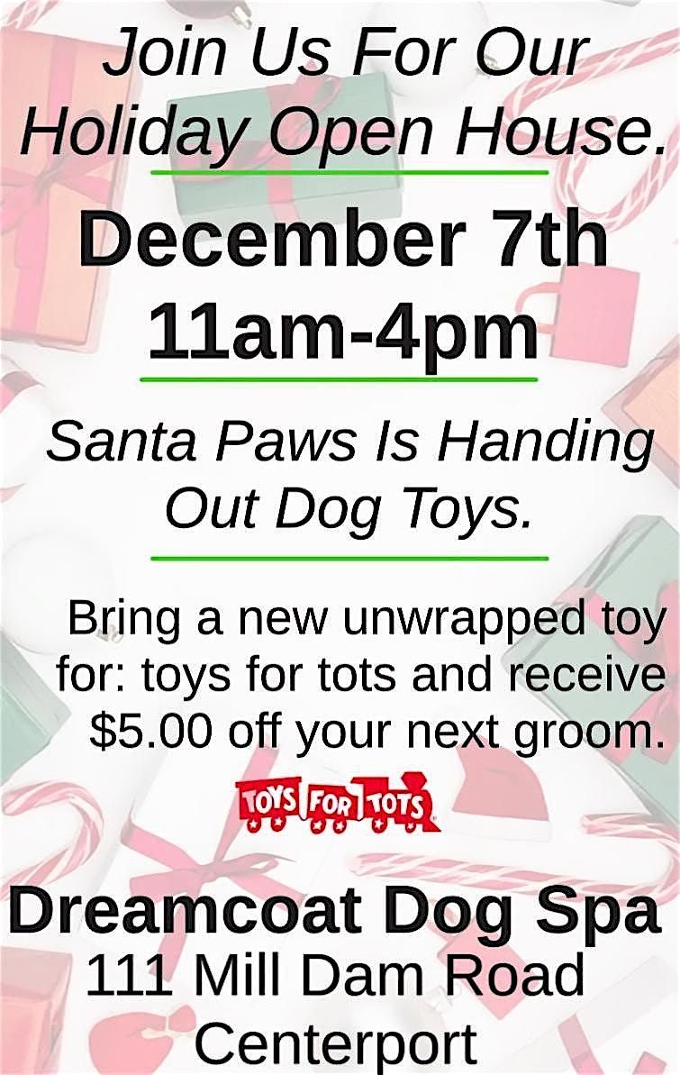 Dreamcoat Dog Spa's Winter Wish party.