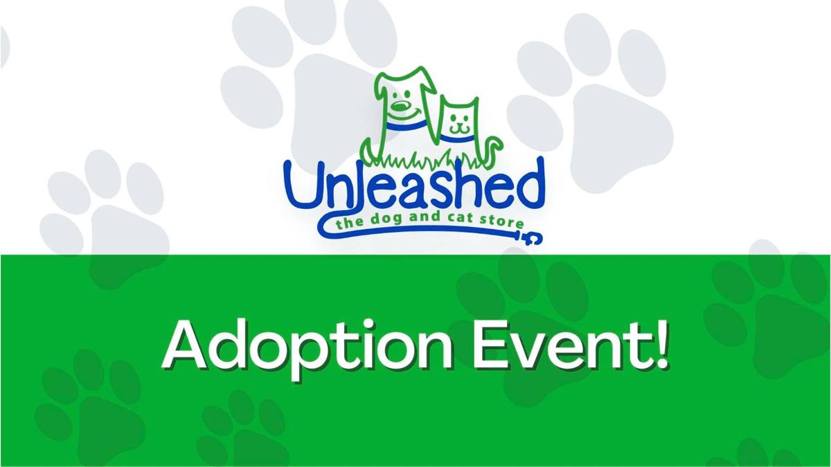 Adoption Event with Long Road Home Rescue 