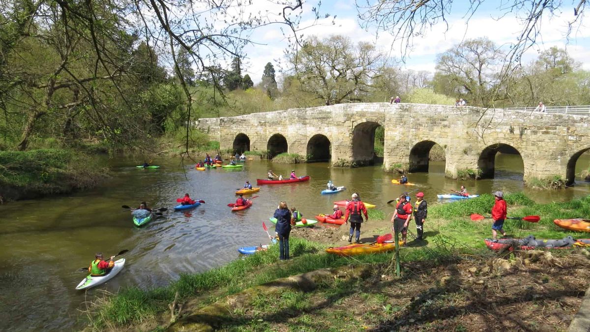 Paddle Discover Course