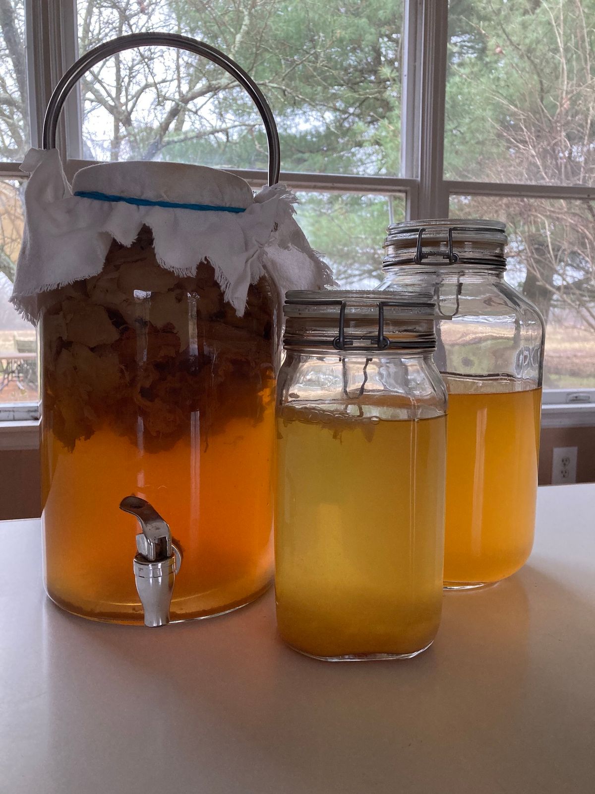 Kombucha Workshop