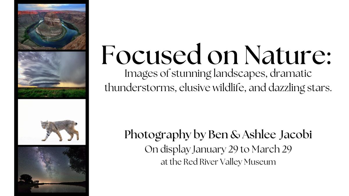 Focused on Nature: Photography Exhibit by Jacobi Creations