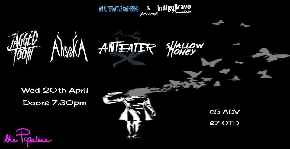 Jagged Tooth / Ahsoka / Anteater / Shallow Honey, The Pipeline Brighton ...