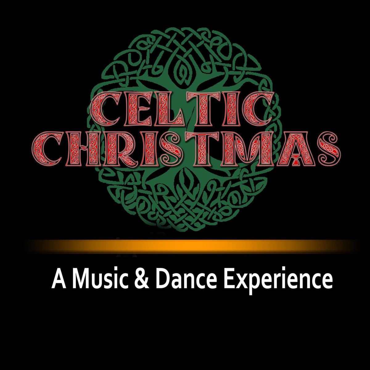 Celtic Christmas inside Sunnybrook Ballroom