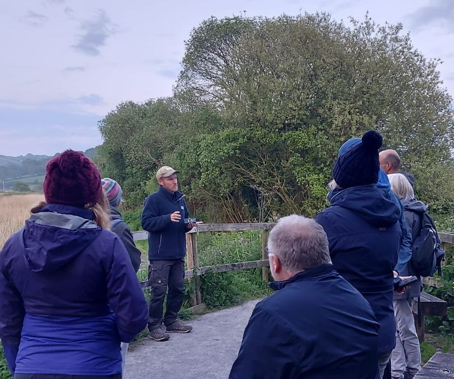 Bat Walk at Seaton Wetlands