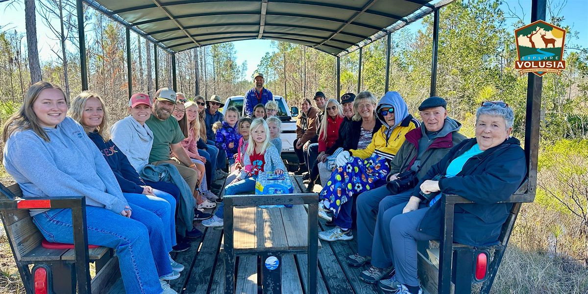 Deep Creek Eco-buggy Tour: Morning