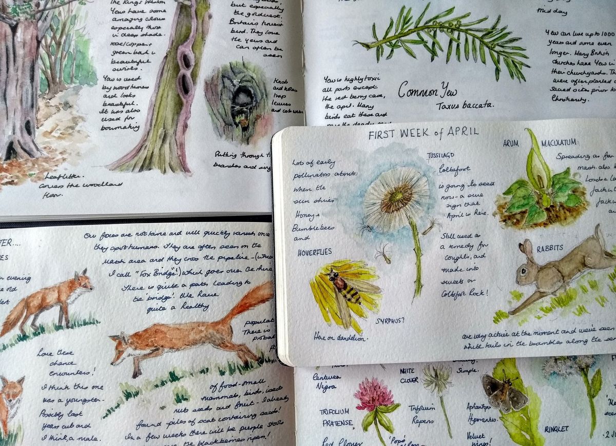 For Adults: Nature Journals