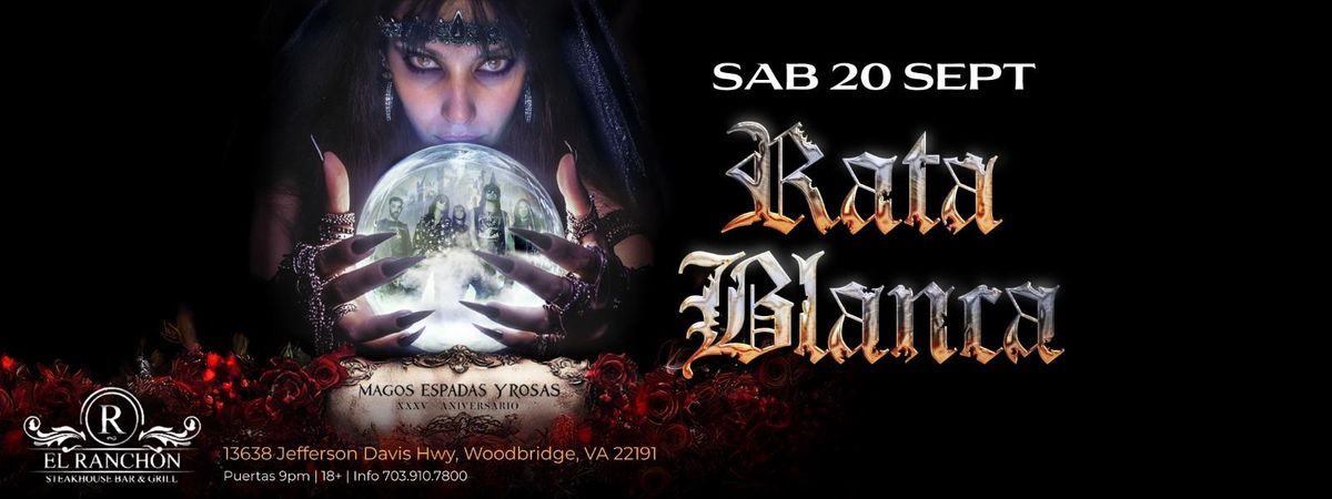 RATA BLANCA EN WOODBRIGE