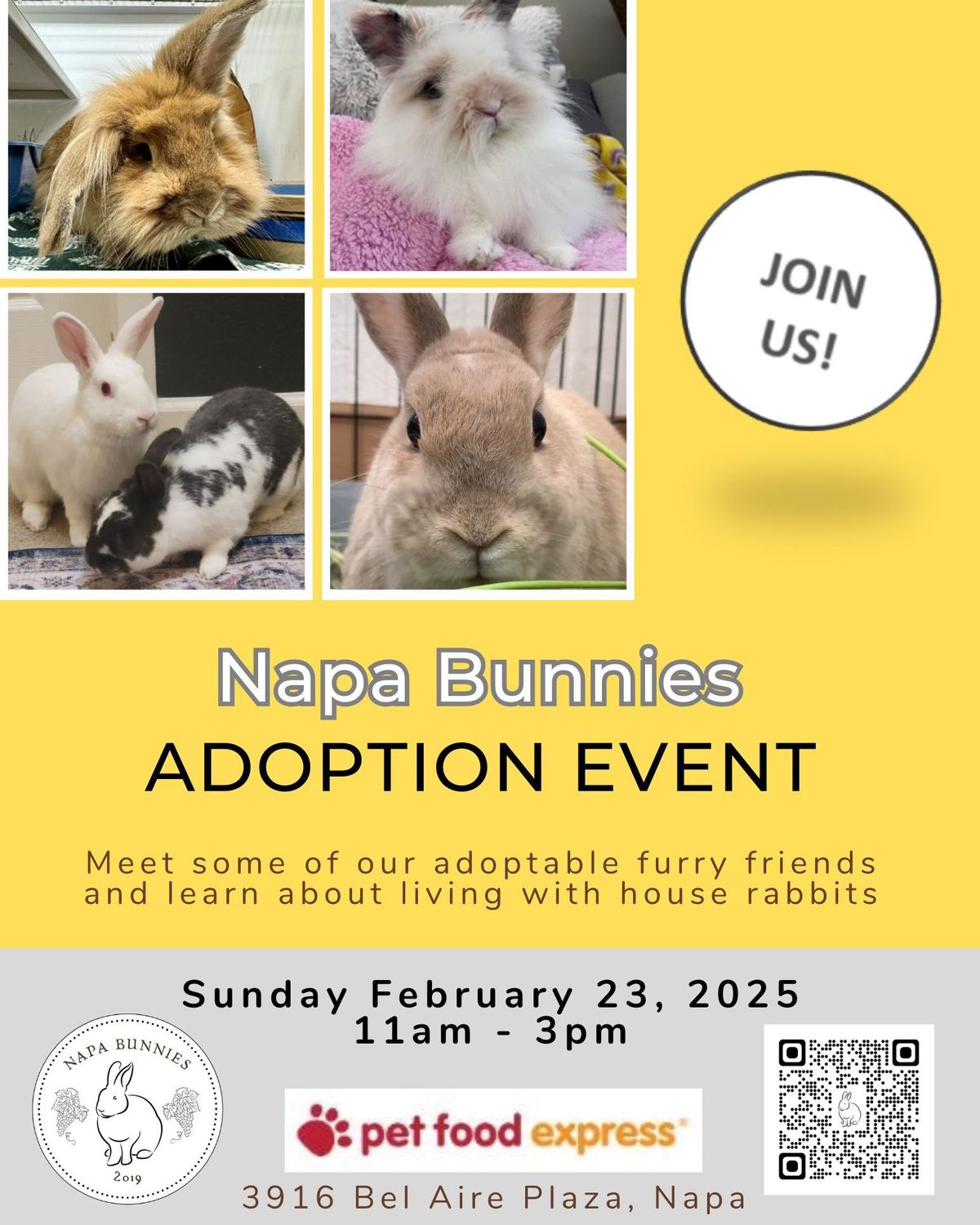 Napa Bunnies Adoption Event