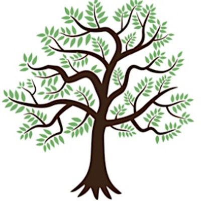 The Alders Unit at Children's Health Ireland