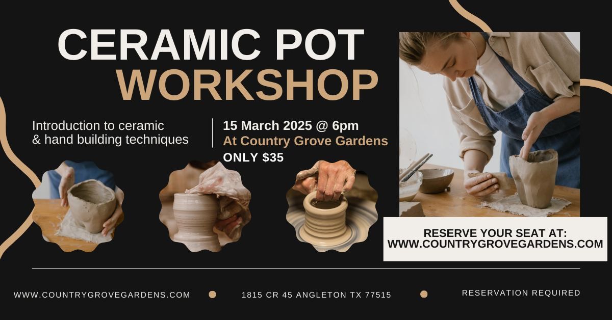 Ceramic Pot Workshop