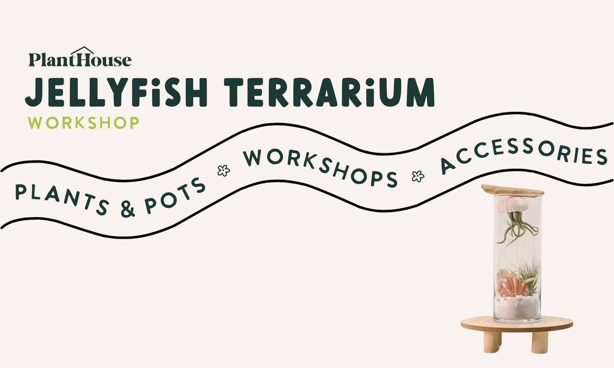 Jellyfish Terrarium Workshop