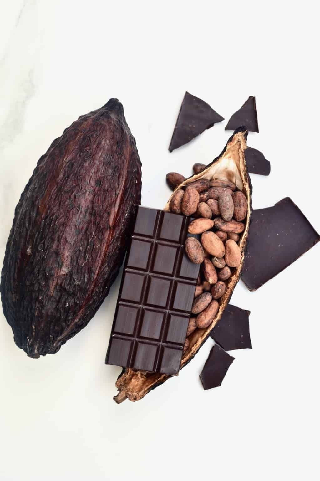 Quantum Cacao Experience - Chocolate with "The Qube"