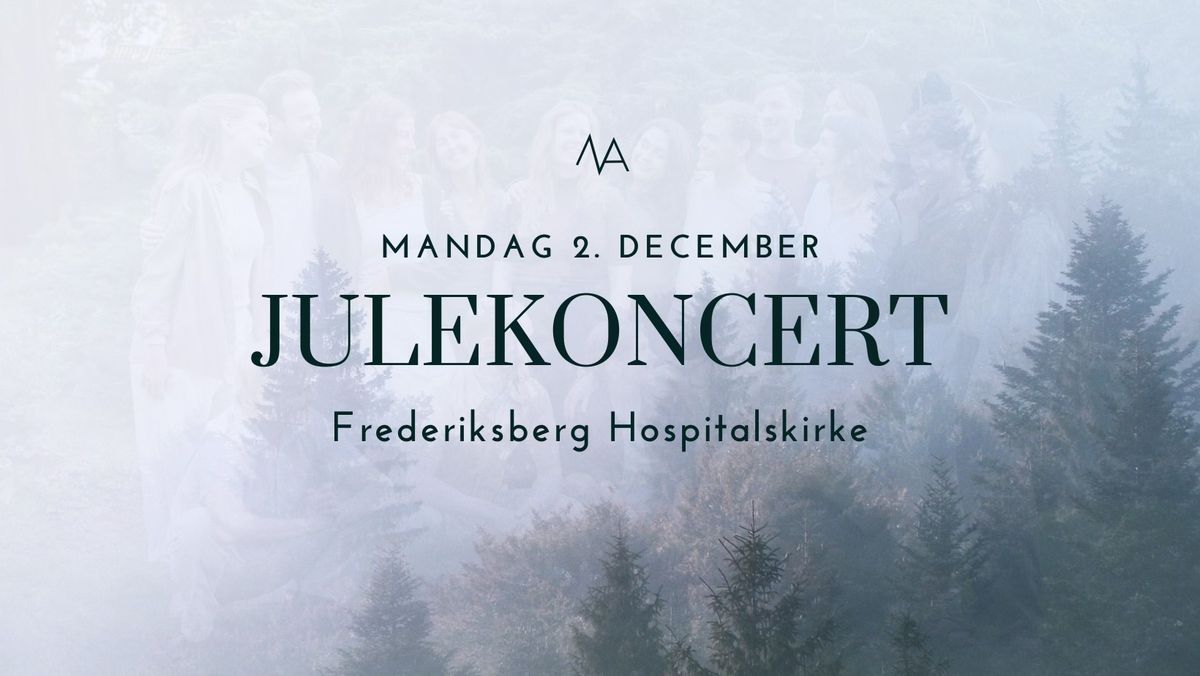 Intim Julekoncert med NAEMA