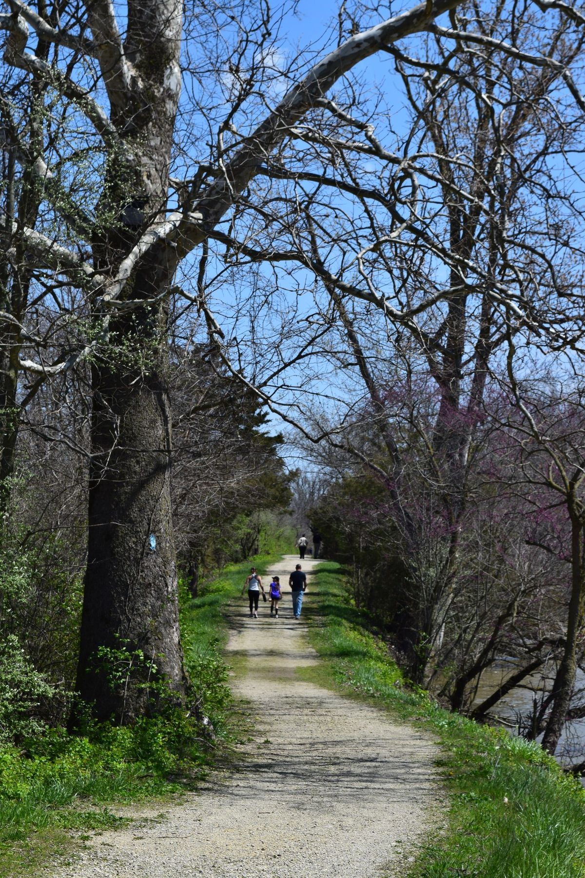 Spring Forward Cabin Fever Hike 