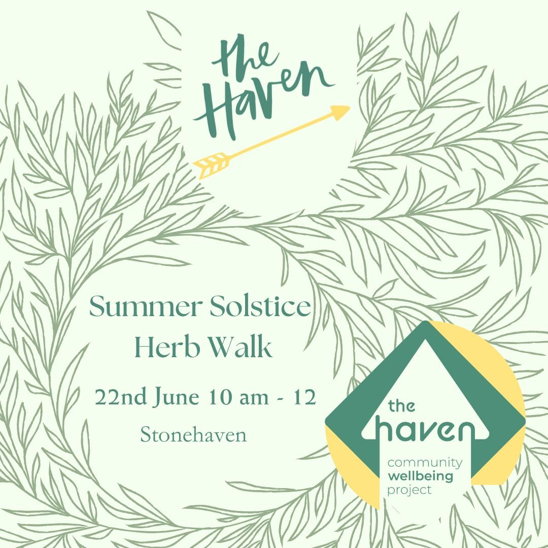 Summer Solstice Herb Walk