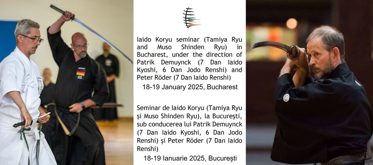 Seminar de Iaido Koryu