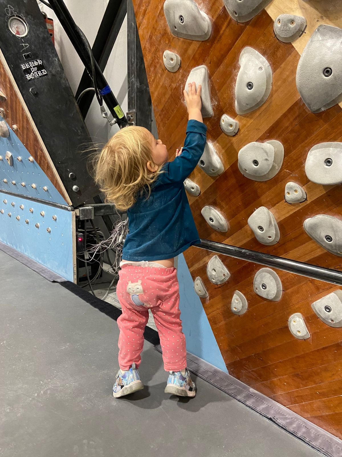 Intro to Climbing Class: Toddlers (2-4 yrs)