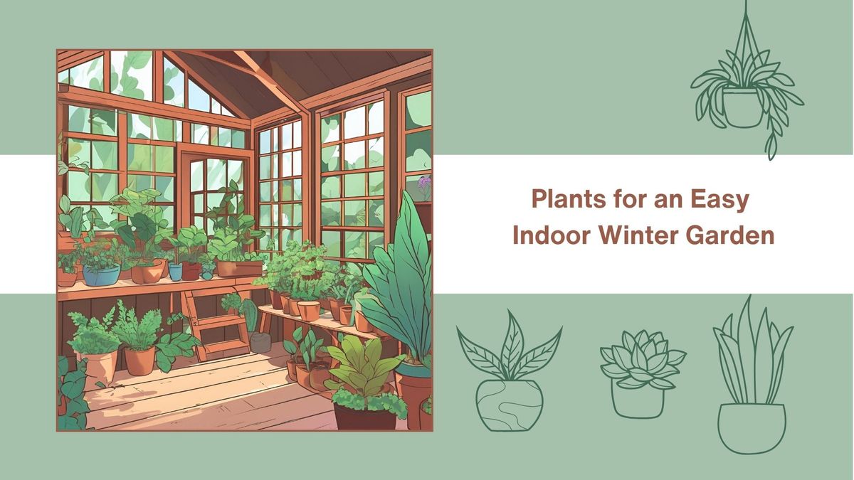 Plants for an Easy Indoor Winter Garden