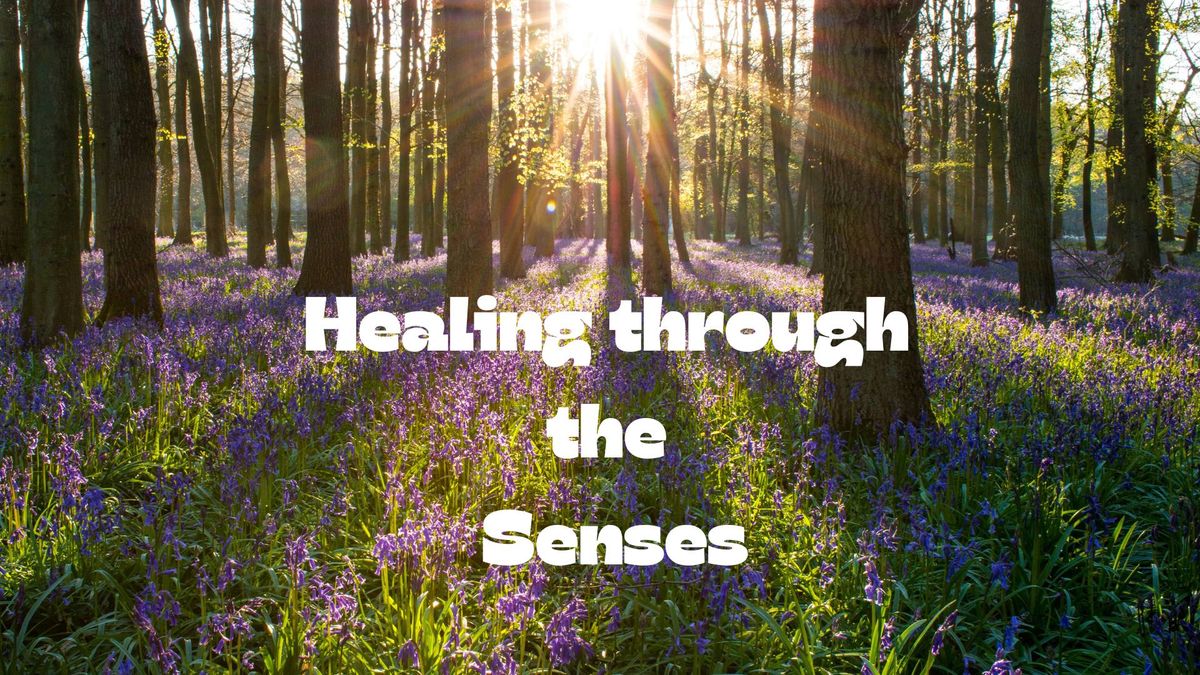 Healing Through the Senses - Creativity & Expression Workshop