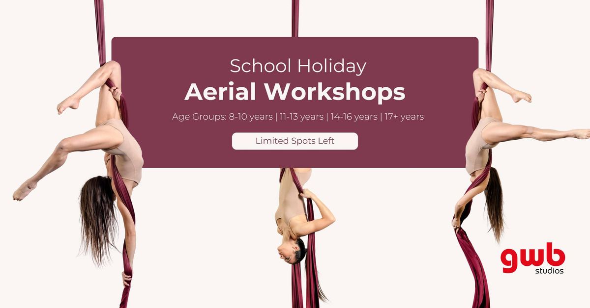 Aerial Workshops - July School Holidays Activity