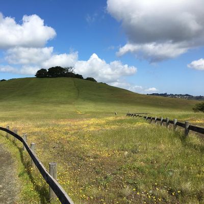 Friends of Edgewood Natural Preserve