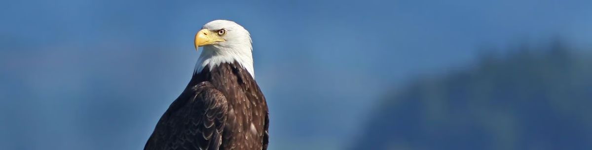 Eagle Watch Winter Trip