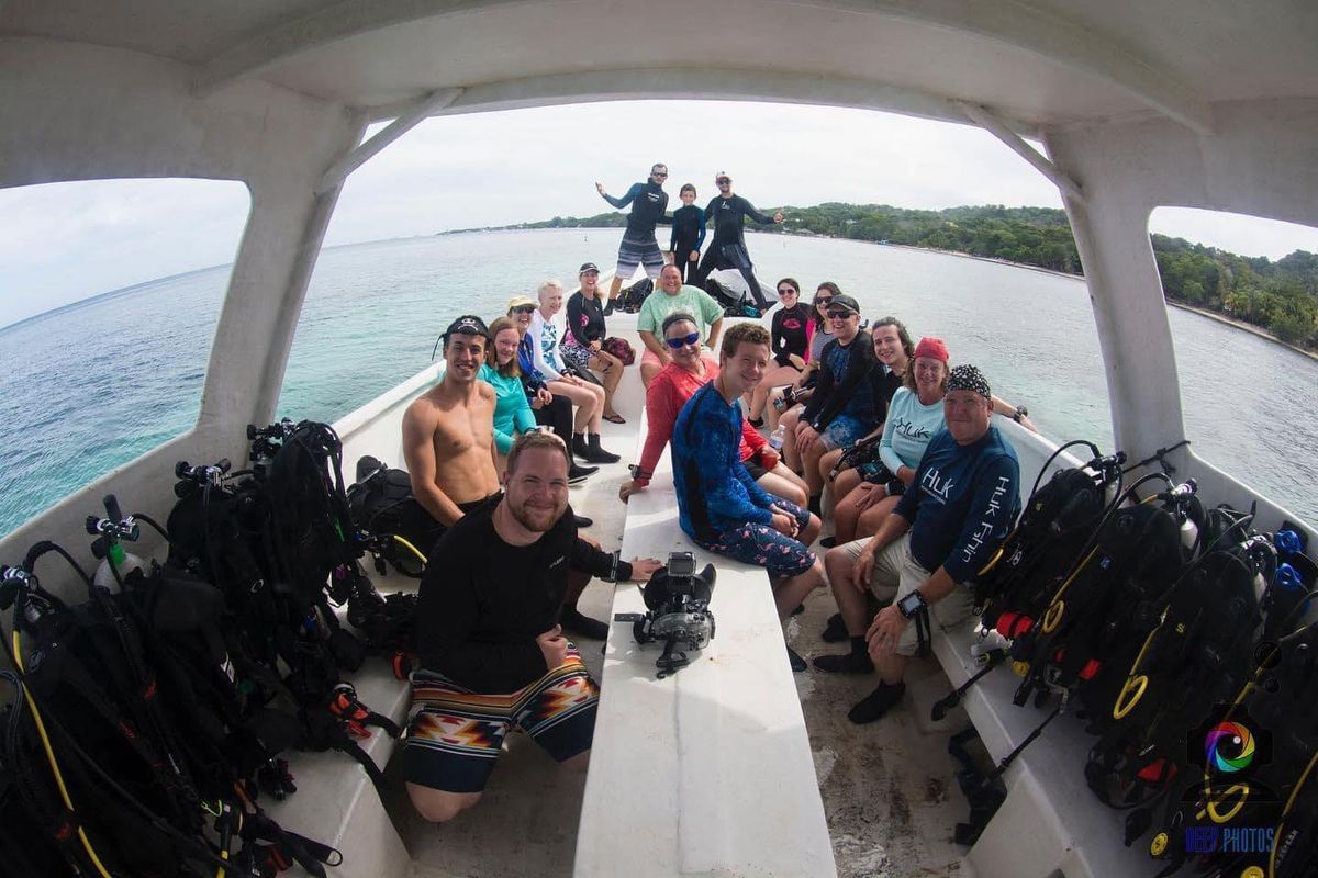 Open Water Scuba Certification 